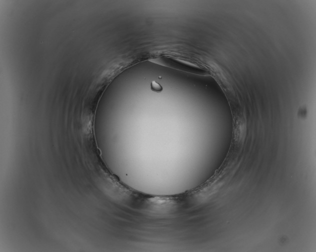X0000091060477200708201349