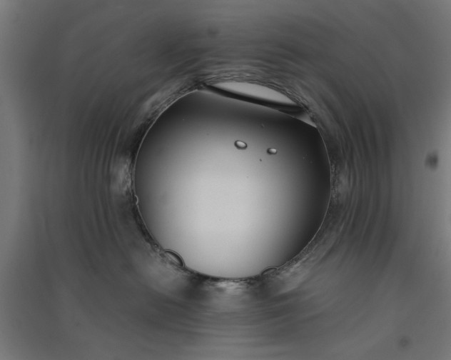 X0000091060478200708201350