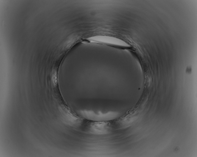 X0000091060479200708201350