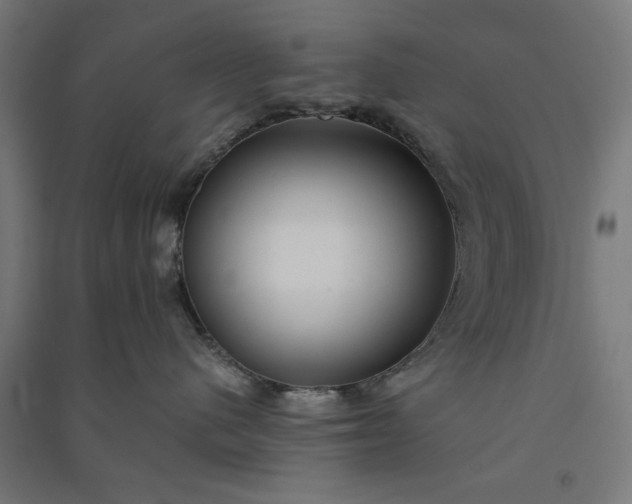 X0000091060480200708201350