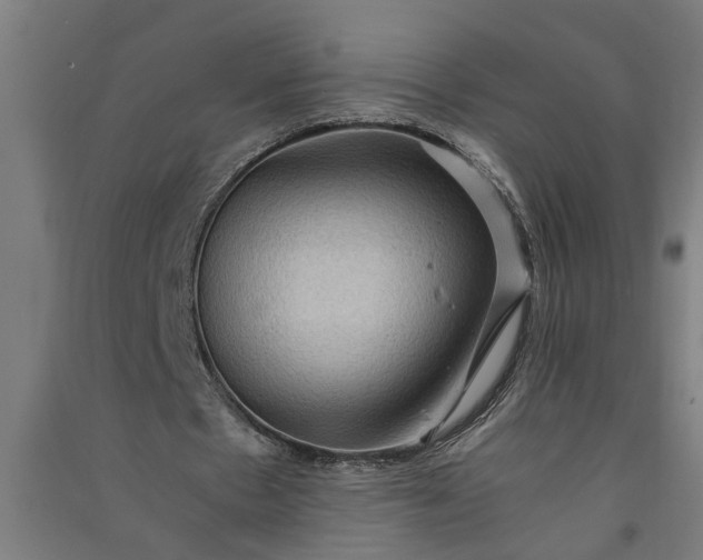 X0000091060481200708201349
