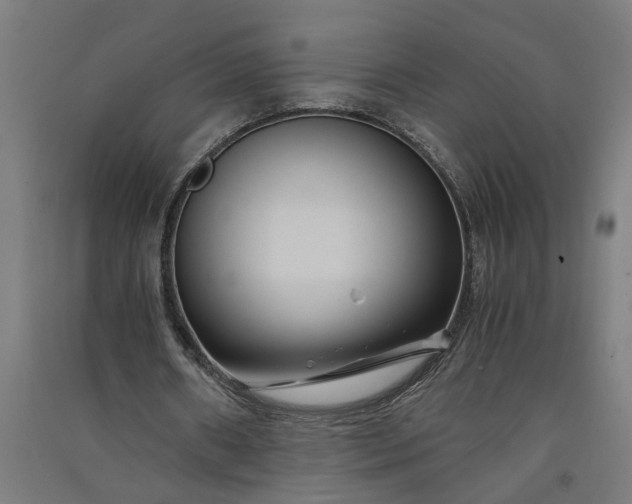 X0000091060482200708201349