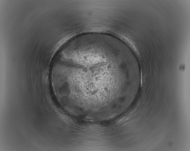 X0000091060483200708201349
