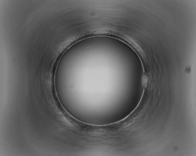 X0000091060485200708201349