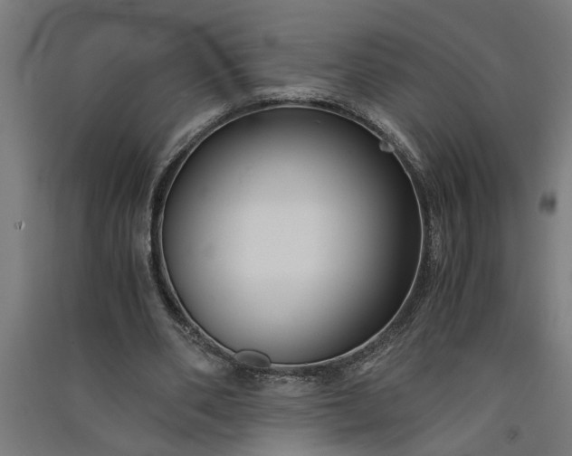 X0000091060486200708201349