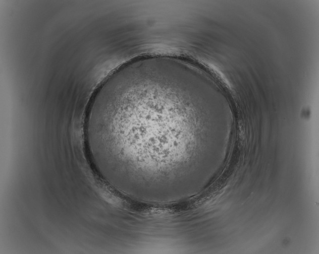 X0000091060487200708201349
