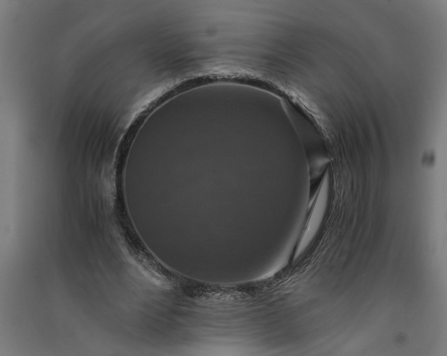 X0000091060488200708201349