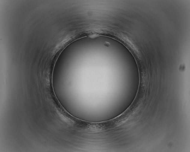 X0000091060489200708201349