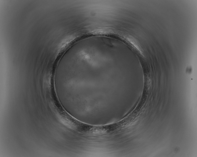 X0000091060491200708201349
