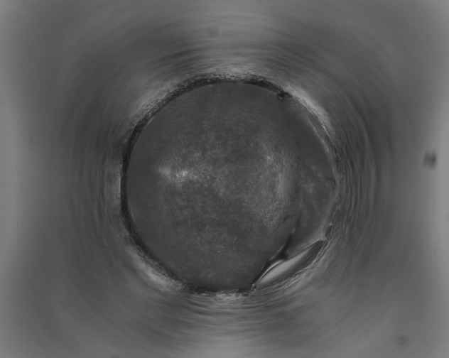 X0000091060493200708201349