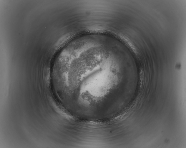 X0000091060494200708201349