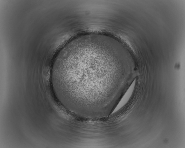 X0000091060495200708201349
