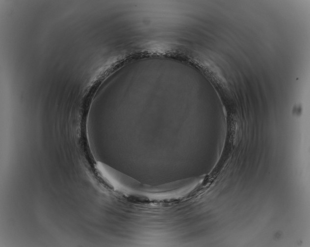 X0000091060496200708201348
