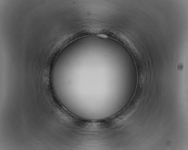 X0000091060497200708201348