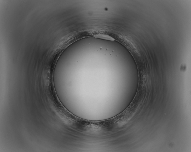 X0000091060498200708201348