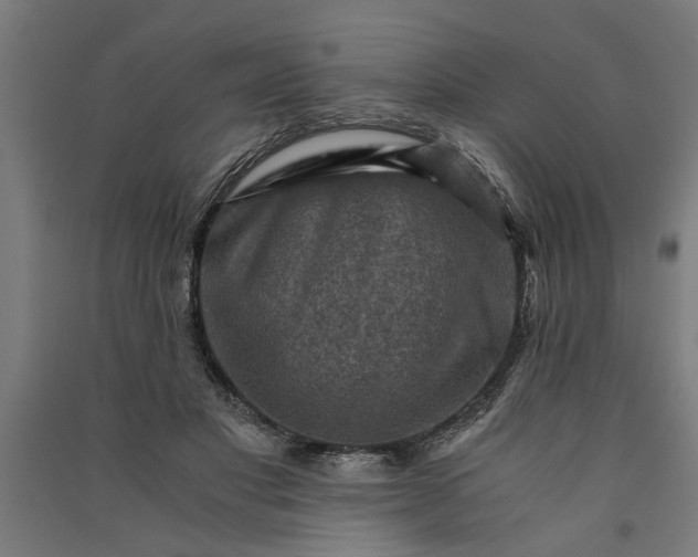 X0000091060501200708201348