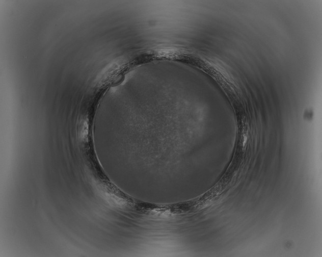 X0000091060502200708201348