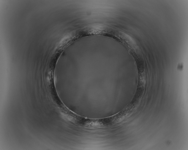 X0000091060503200708201348