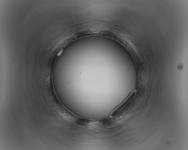X0000091060505200708201348