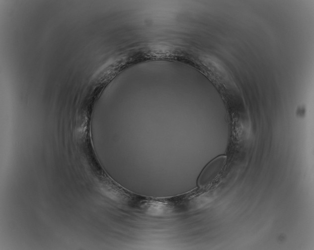X0000091060507200708201348
