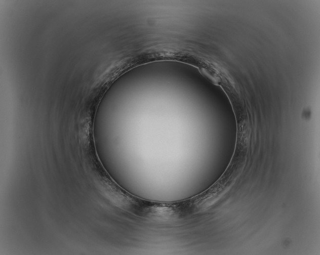 X0000091060509200708201348