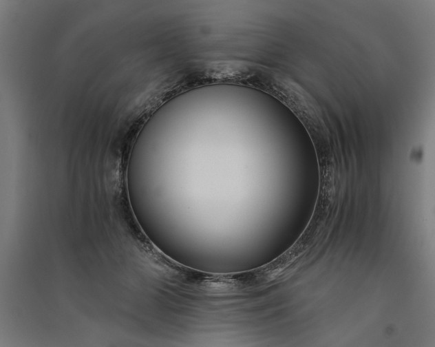 X0000091060510200708201348