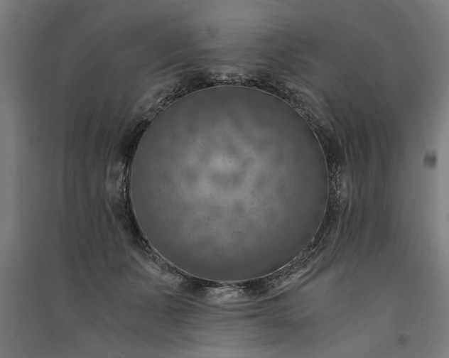 X0000091060511200708201348