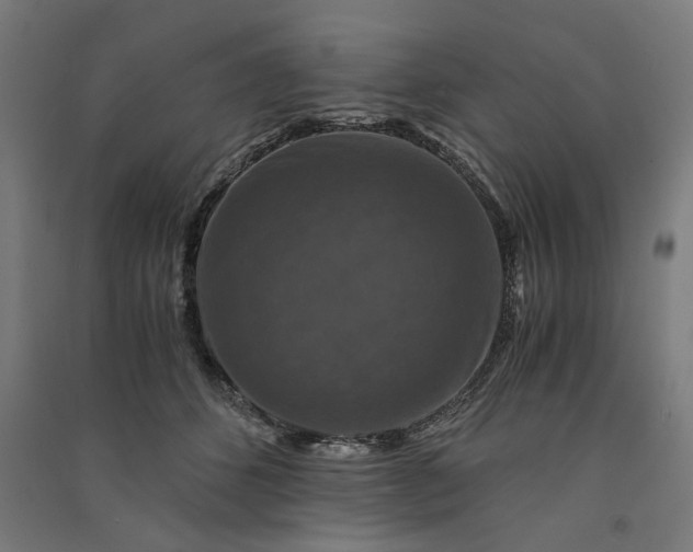 X0000091060512200708201348