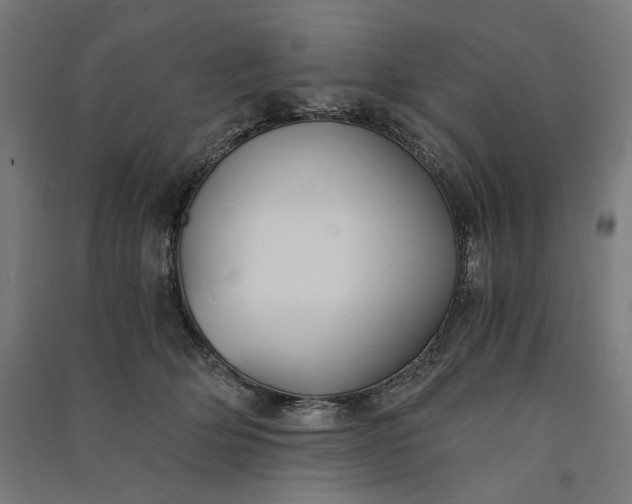 X0000091060514200708201348