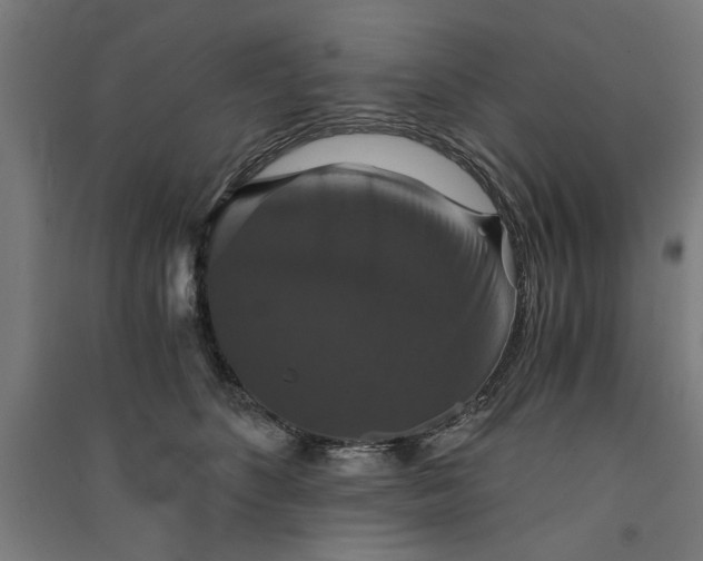 X0000091060516200708201348