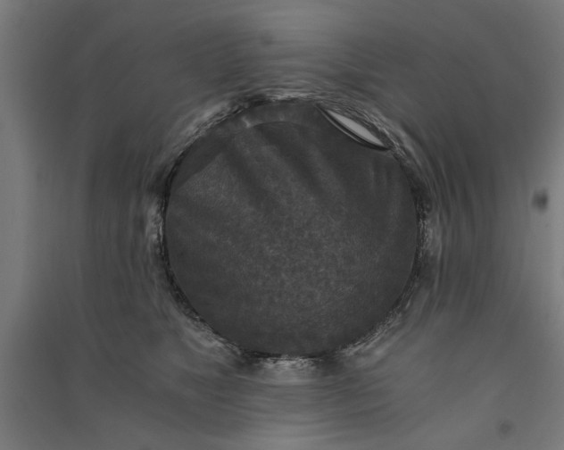 X0000091060517200708201348