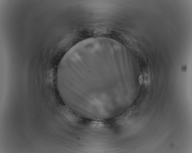 X0000091060519200708201348