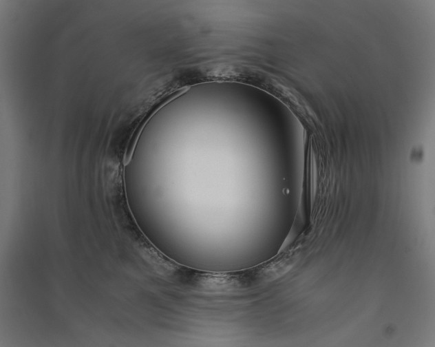 X0000091060521200708201348