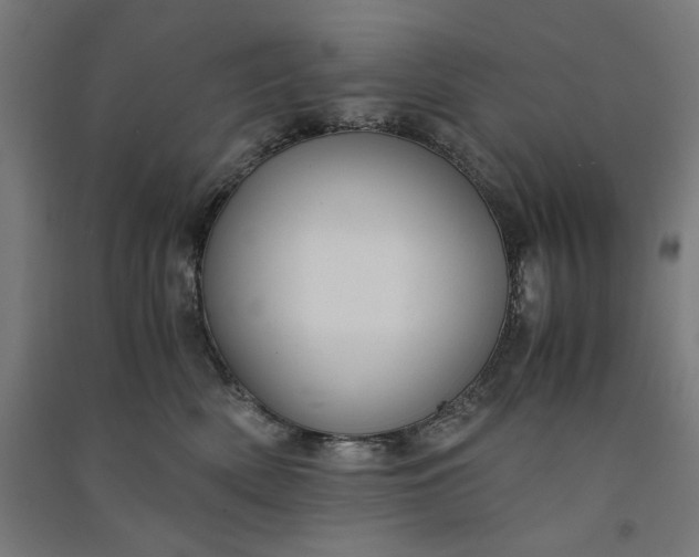 X0000091060522200708201348