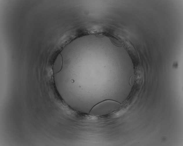 X0000091060523200708201348