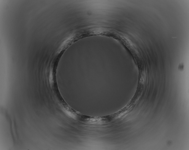 X0000091060524200708201348