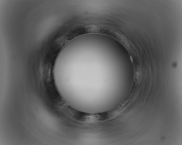 X0000091060525200708201348