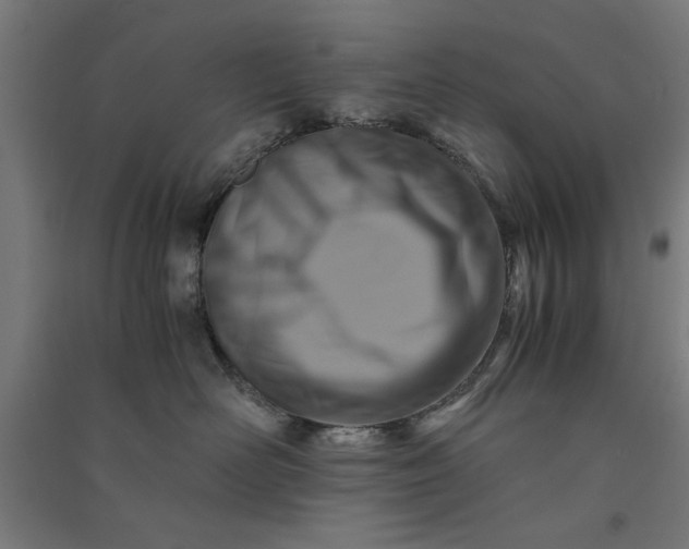X0000091060526200708201348