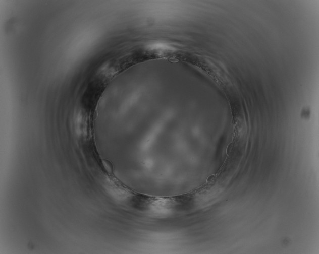 X0000091060527200708201348