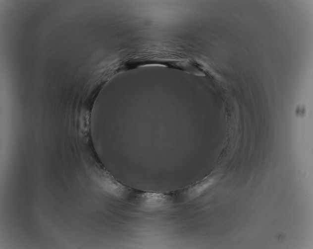 X0000091060528200708201348