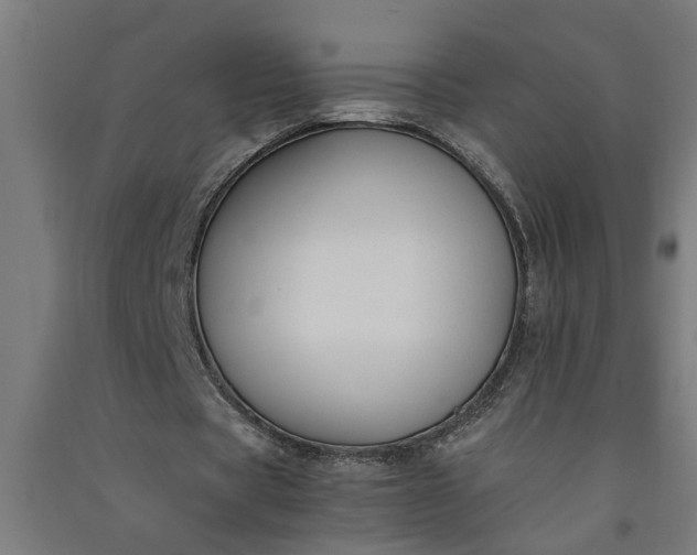 X0000091060529200708201347
