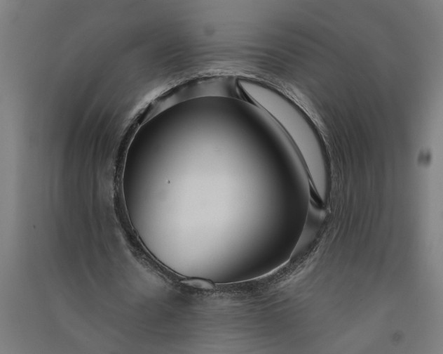 X0000091060530200708201347