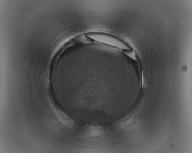 X0000091060531200708201347