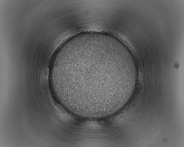X0000091060534200708201347