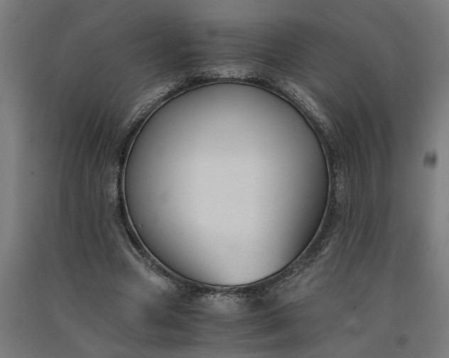 X0000091060537200708201347