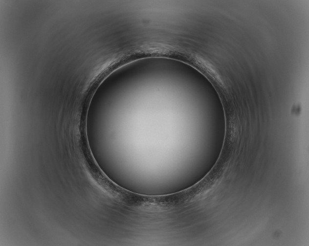 X0000091060538200708201347