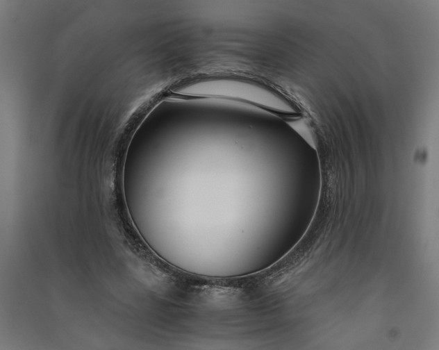 X0000091060539200708201347