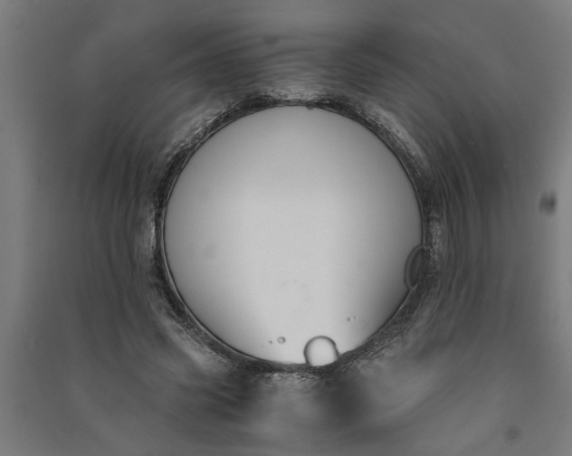 X0000091060541200708201347