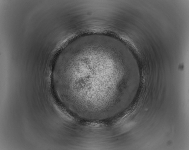 X0000091060542200708201347