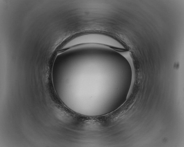 X0000091060544200708201347